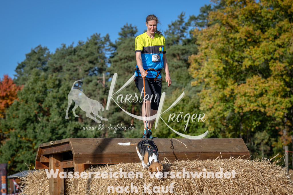 1046_ZZ91486 | kk-dogfotos