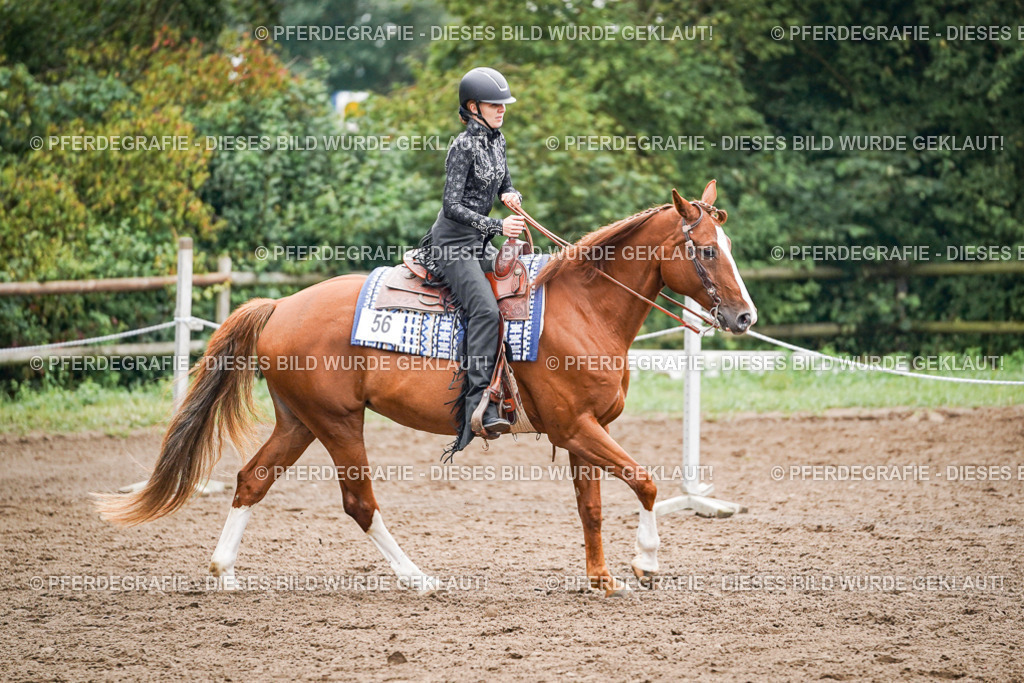 DSC02423 | Pferdegrafie