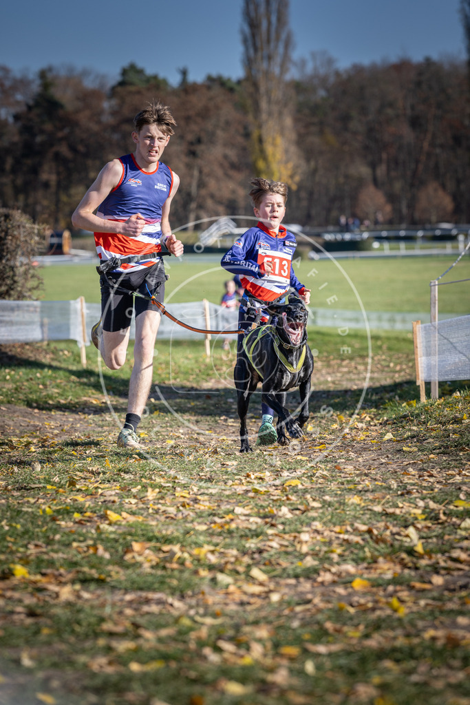 CaniXpix_DV3A7975 | Hundefotografie, Tierfotograf, Pfotenfotografie, Fotoshooting Hund, Hunde Portrait, Hundesport, Hundeportraits, Heideshooting, Hunde, Sportfotograf, Hundefotograf, Turnierhundsport, THS,  - Realisiert mit Pictrs.com