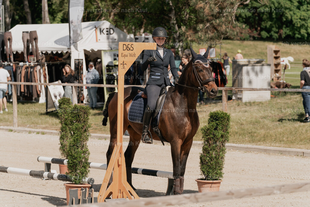 WE_ST_Stoib_316_PI2025_946 | Pferd International München 2025