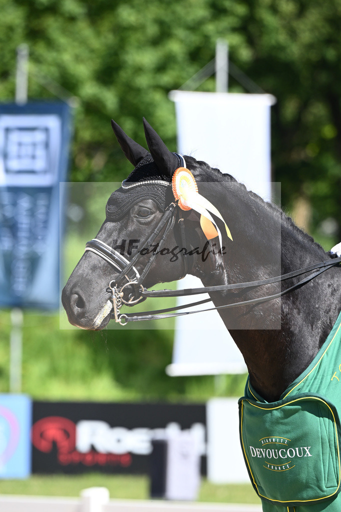 Grupen_Friedemann_12246429 | hf-fotografie - Realisiert mit Pictrs.com