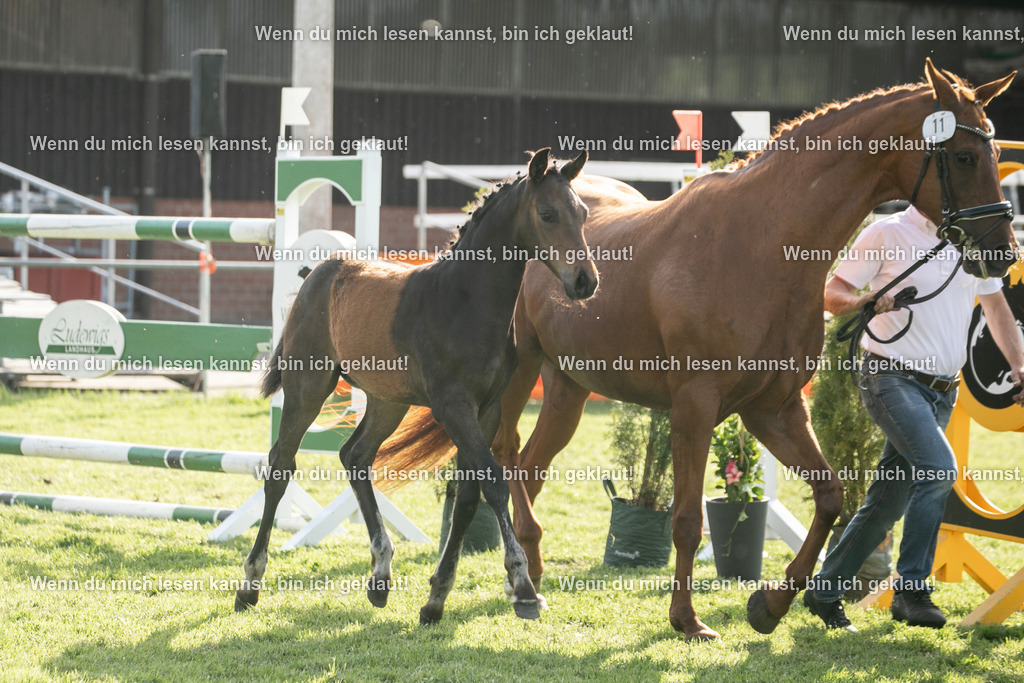 598A7178 | photographylinaismer - Realisiert mit Pictrs.com