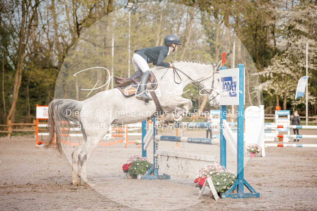3I6A3382 | Stimmungsvolle Portraits und Reitsportfotografie im Ruhrgebiet und im Münsterland.

Pferdefotografie, Hundefotografie, Tierfotografie, Reportagen, Portraits von Tier und Mensch, Turnierfotografie in Bochum, Recklinghausen, Marl, Haltern am See, Dülmen.. - Realisiert mit Pictrs.com