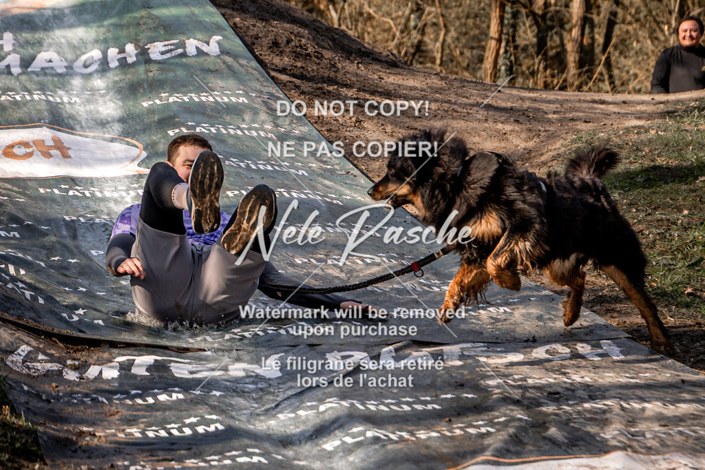 nelerasche_CCNL26_So0945-1030_294 | nelerasche