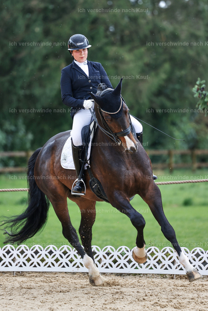 05-244-DRESSUR M_  -StoibPH-4908 | working equitationturnier fotograf videograf stoibphotography marixx film working equitation deutschland reitsport turnierfotografie eventfotografie equestrian events