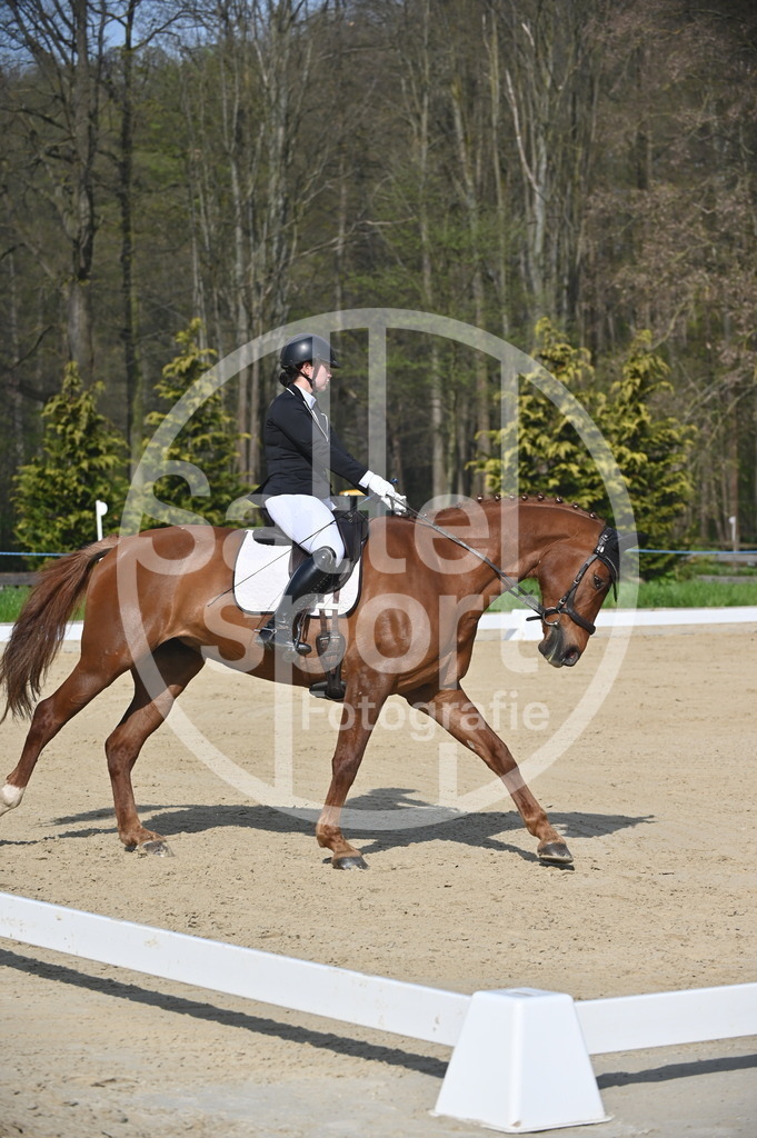 DSC_0474 | sattelsport - Realisiert mit Pictrs.com