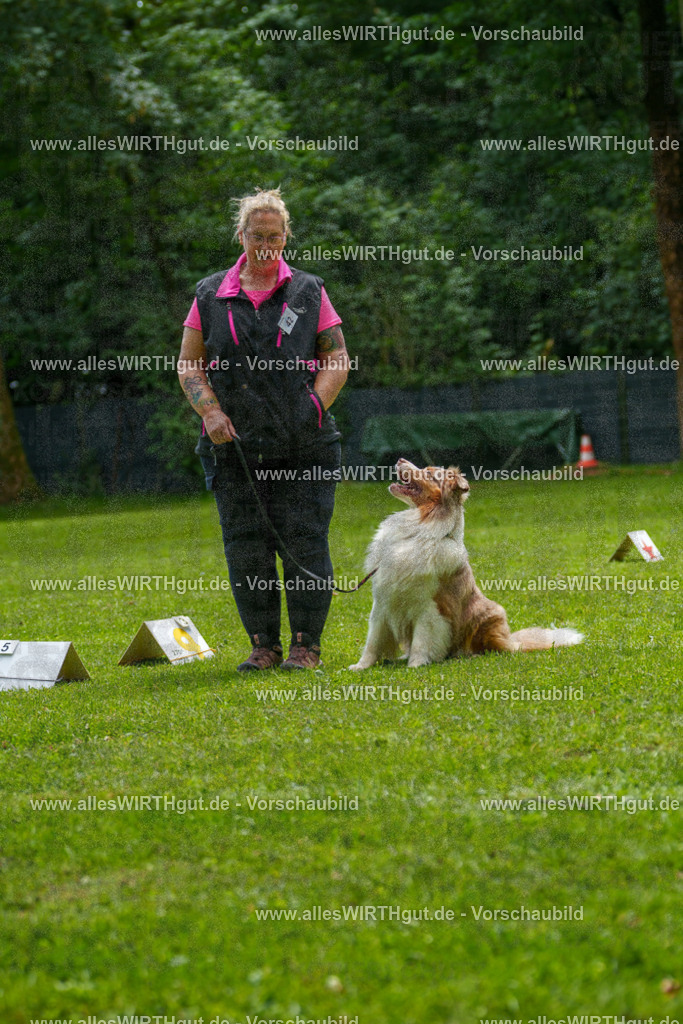 @allesWIRTHgut_Tierfotografie - www.allesWIRTHgut.de - 7R505007 | Professionelle Tierfotografie in Mönchengladbach von Daniel Wirth (allesWIRTHgut). Liebevolle & natürliche Bilder von Hunden & Katzen für unvergessliche Erinnerungen.