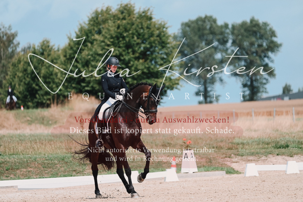 DSC_4337-2 | Pferde- und Turnierfotografie in Westsachsen. Pferdeportraits, Auftragszeichnungen und intuitive Kunst.