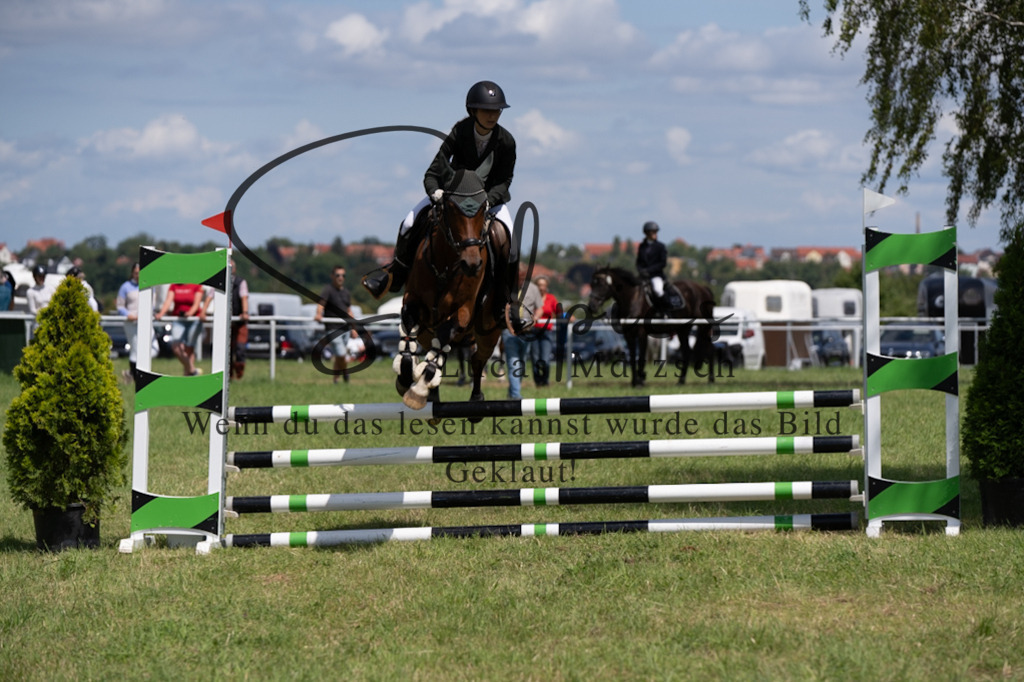 A7V04377 | Pferdefotograf