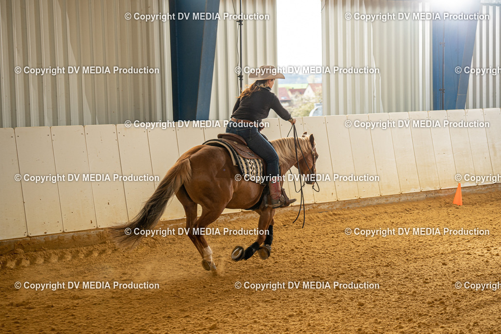 MIT00620 | dv-media-shop - Realisiert mit Pictrs.com