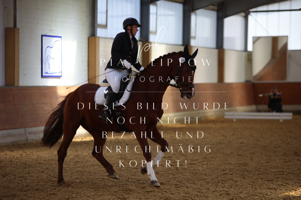 IMGT4875 | pl-fotografie