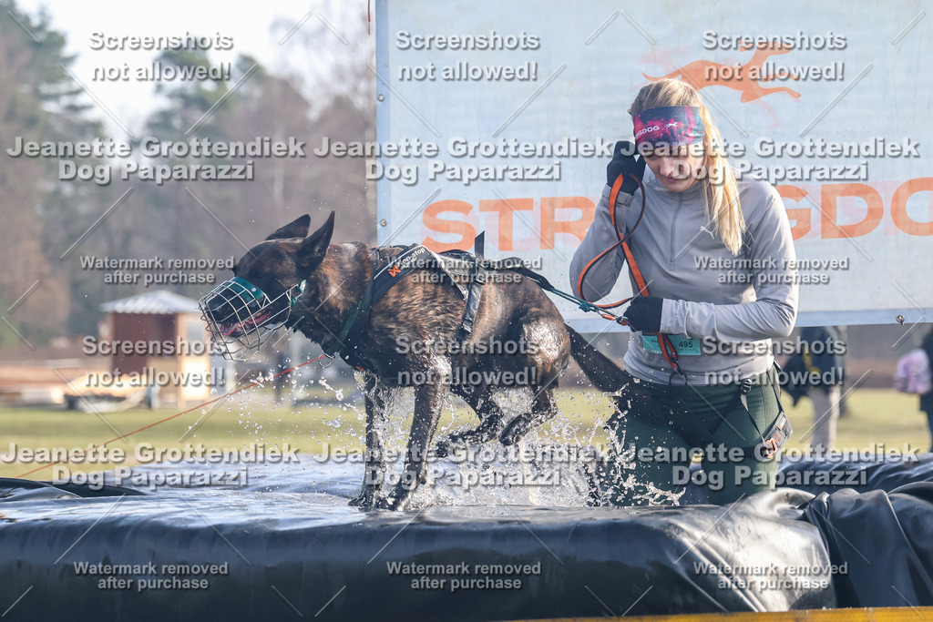 Dog Paparazzi - Strongdog North Mrz26-101 | Dog Paparazzi Jeanette Grottendiek Fotografie & Videografie - Realisiert mit Pictrs.com