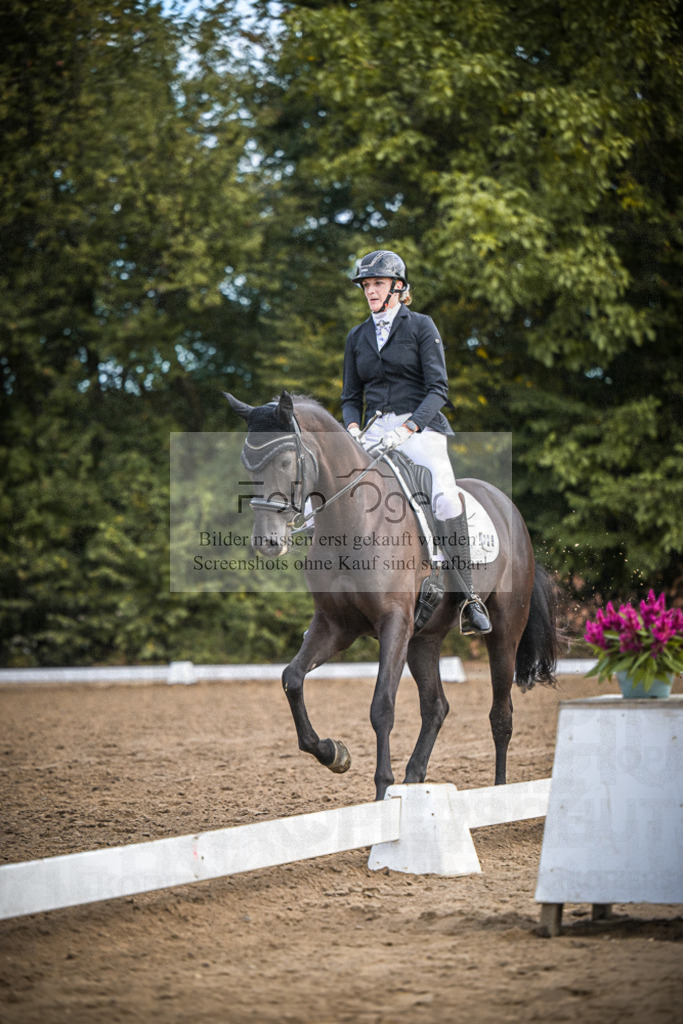 DOS_1390 | Entdecke hochwertige Reitturnierfotos von Foto Oger. Professionell, emotional und authentisch – jetzt Lieblingsmomente im Shop bestellen.Deutschlandweite Turnierfotografie. - Realisiert mit Pictrs.com