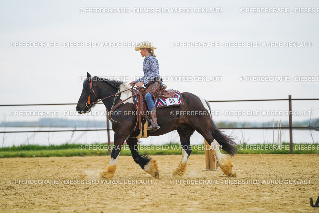 DSC08031 | Pferdegrafie