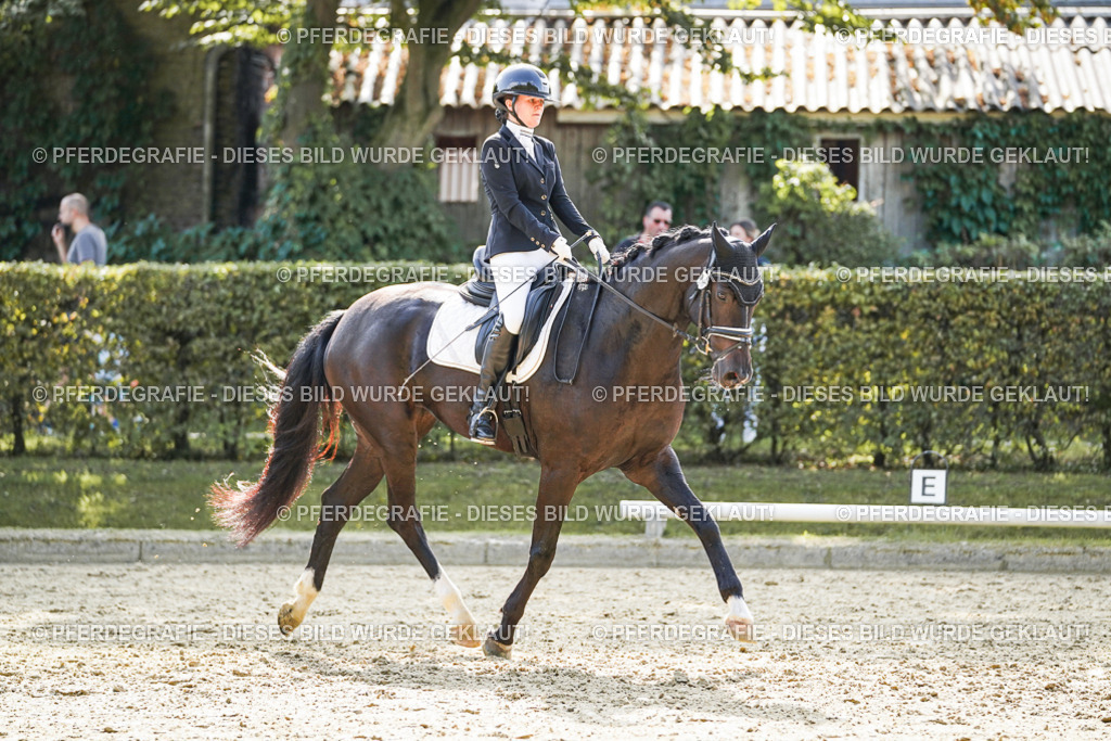 DSC08295 | Pferdegrafie