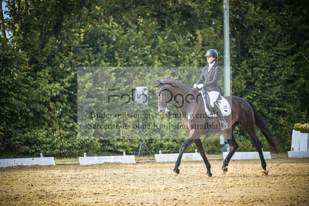 DOS_1003 | Entdecke hochwertige Reitturnierfotos von Foto Oger. Professionell, emotional und authentisch – jetzt Lieblingsmomente im Shop bestellen.Deutschlandweite Turnierfotografie. - Realisiert mit Pictrs.com
