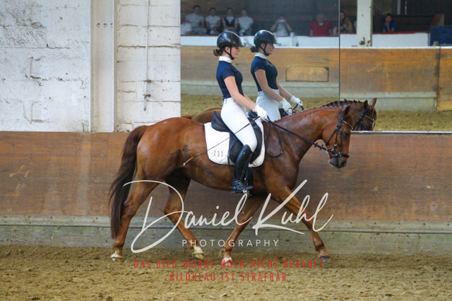 DKP44374 | Turniersportfotografie; Pferdefotografie; Dressurfotografie