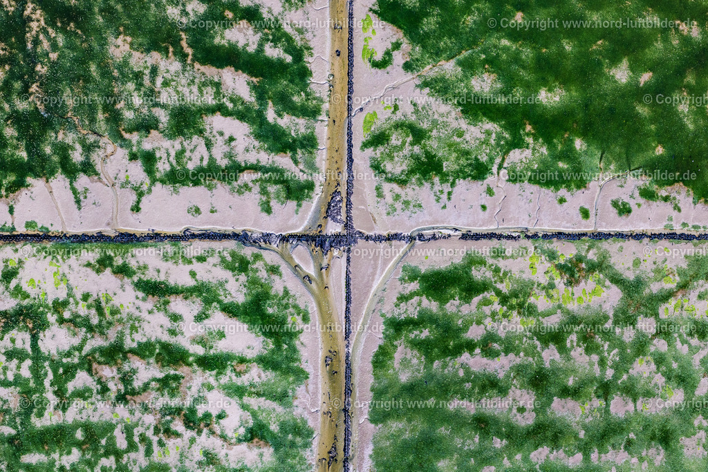 Sylt_Morsum_Hindenburgdamm_Küstenschutz_Verschlickungsbefestigung_Grünalgen_Senkrechtaufnahme_ELS_0448130825 | SYLT 13.08.2025 Senkrecht- Luftbild aus der Satelliten- Perspektive vom Wattenmeer der Nordsee- Küste am Hindenburgdamm bei Sylt auf der Insel Sylt im Bundesland Schleswig-Holstein, Deutschland. // Vertical aerial view from the satellite perspective of the wadden Sea of North Sea Coast on Hindenburgdamm in Sylt on Island Sylt in the state Schleswig-Holstein, Germany. Foto: Martin Elsen