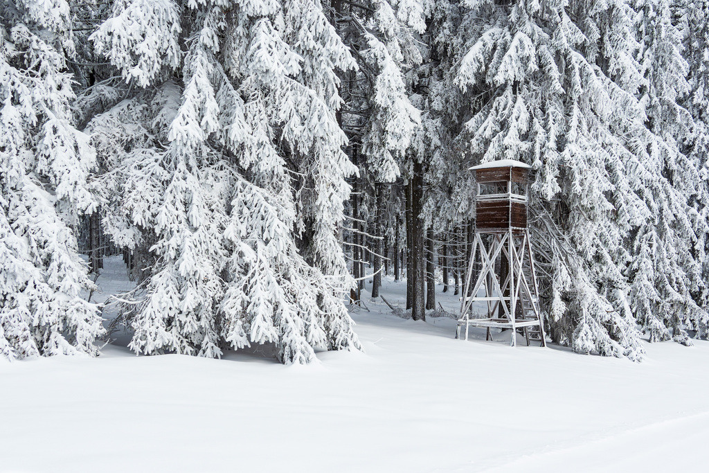 Landschaft im Winter im Thüringer Wald in der Nähe von Schmiedefeld am Rennsteig | Landschaft im Winter im Thüringer Wald in der Nähe von Schmiedefeld am Rennsteig.