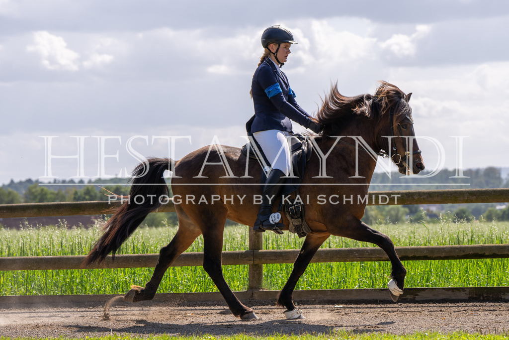 KAI06622 | Ihr sucht einen Fotografen für eure nächste OSI? Ich begleite auch euer Turnier für Islandpferde fotografisch.  - Realisiert mit Pictrs.com