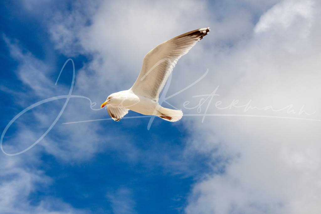 IMG_9045 | Landschaftsaufnahmen aus Deutschland. Sonne, Wasser, Wind und Wahrzeichen - Realisiert mit Pictrs.com