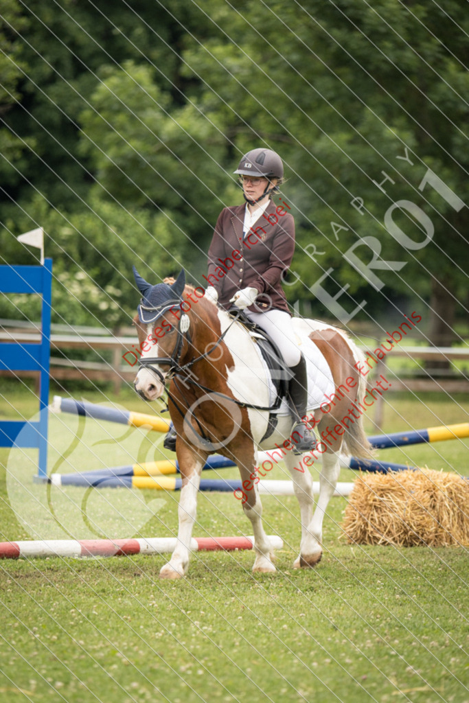 IMG_8331 | Sport-, Event- und Tierfotos in Profiqualität. Einfach auswählen, bestellen und herunterladen. Dein Moment – perfekt festgehalten.
