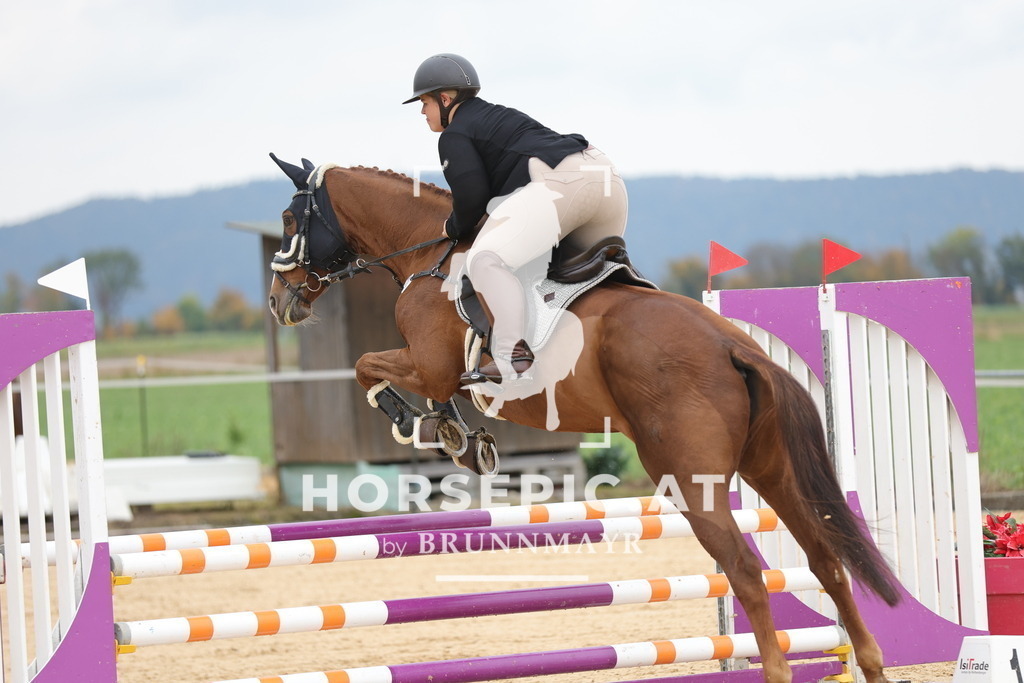 0P6A2735 | Willkommen bei Brunnmayr - Design & Fotografie – Ihrem Spezialisten für Reitturniere und Pferdeveranstaltungen in Oberösterreich, Salzburg und Bayern! Seit über 17 Jahren sind wir leidenschaftlich dabei.