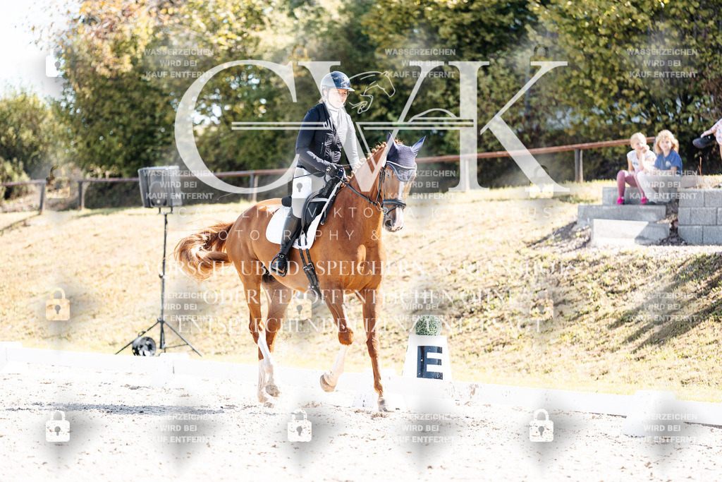 CK903232 | Turnierfotografie Pferdefotografie Trier Rheinland-Pfalz Pferdesport Reitsport Tierfotografie Sportfotografie Pferdevideo Pferdevideografie Equestrianvideography equestrianphotography  - Realisiert mit Pictrs.com