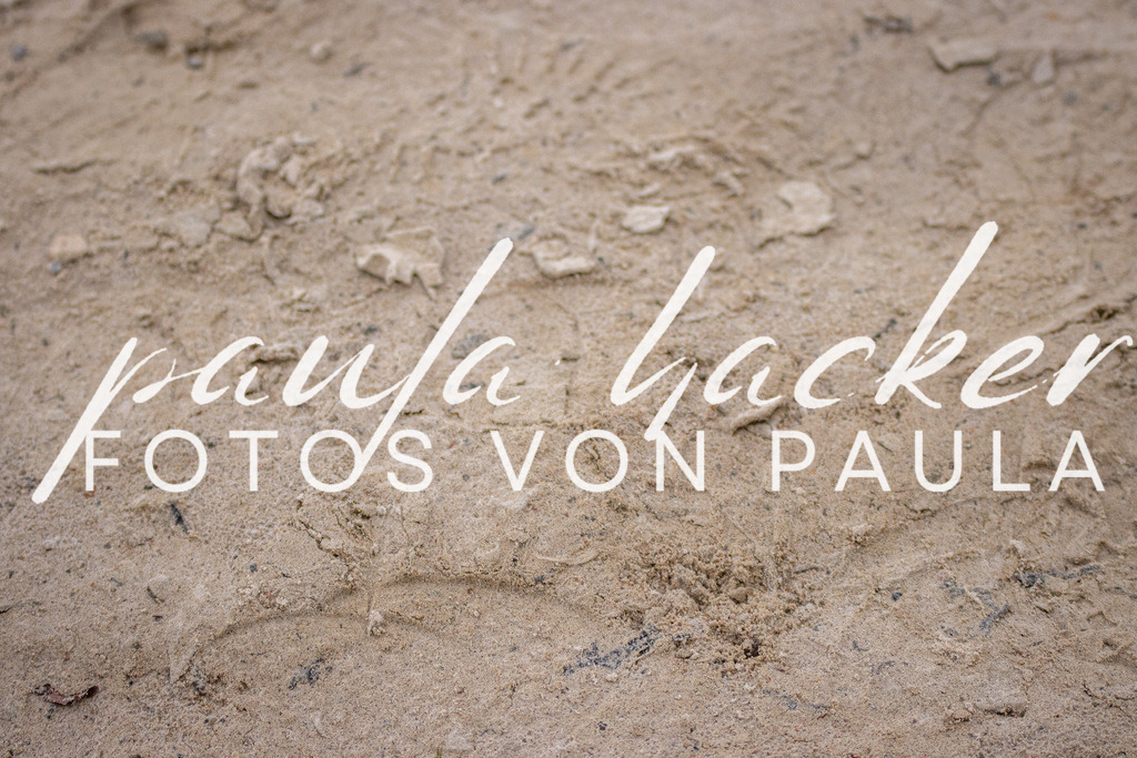 IMG_4647 | Erleben Sie dynamische Sport- und emotionale Tierfotografie in Süddeutschland mit Fotos von Paula. Spezialisiert auf Pferde- und Hundefotografie sowie Sportevents. Kontaktieren Sie mich für einzigartige und ausdrucksstarke Bilder Ihrer besonderen Momente. - Realisiert mit Pictrs.com