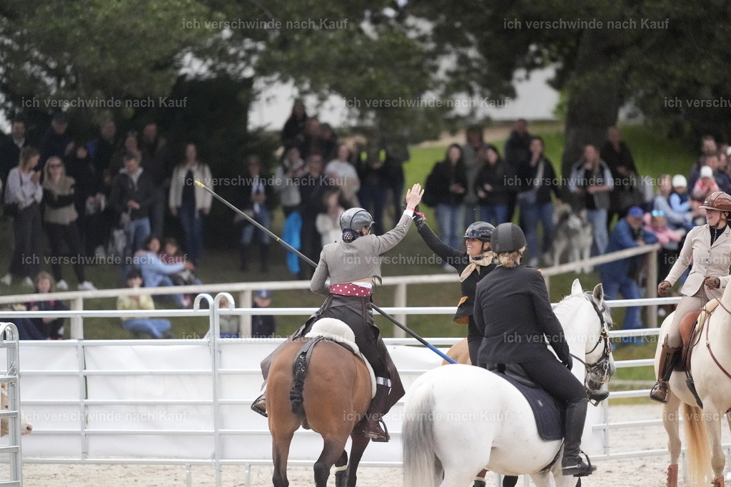 PI26_COW_Stoibphotography_DSC6036.JPG | working equitationturnier fotograf videograf stoibphotography marixx film working equitation deutschland reitsport turnierfotografie eventfotografie equestrian events