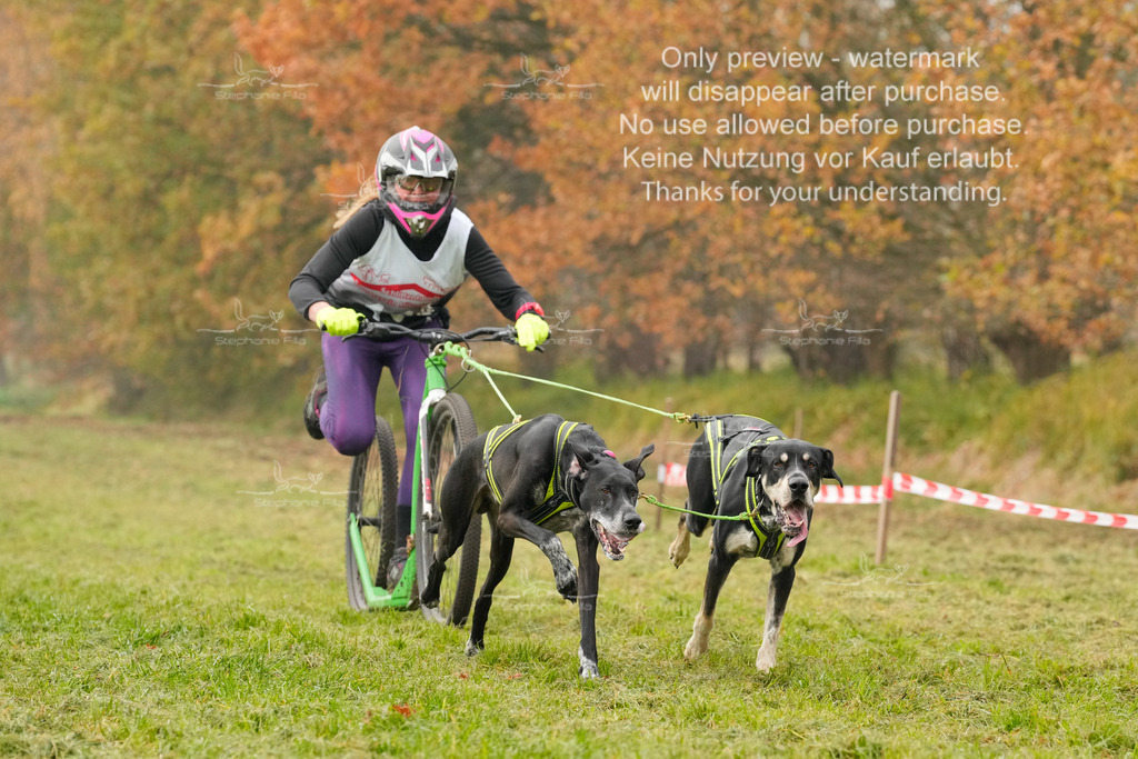 Visbeck_Sa_DS2DR2-55 | stephaniefillaphotographie - Realisiert mit Pictrs.com