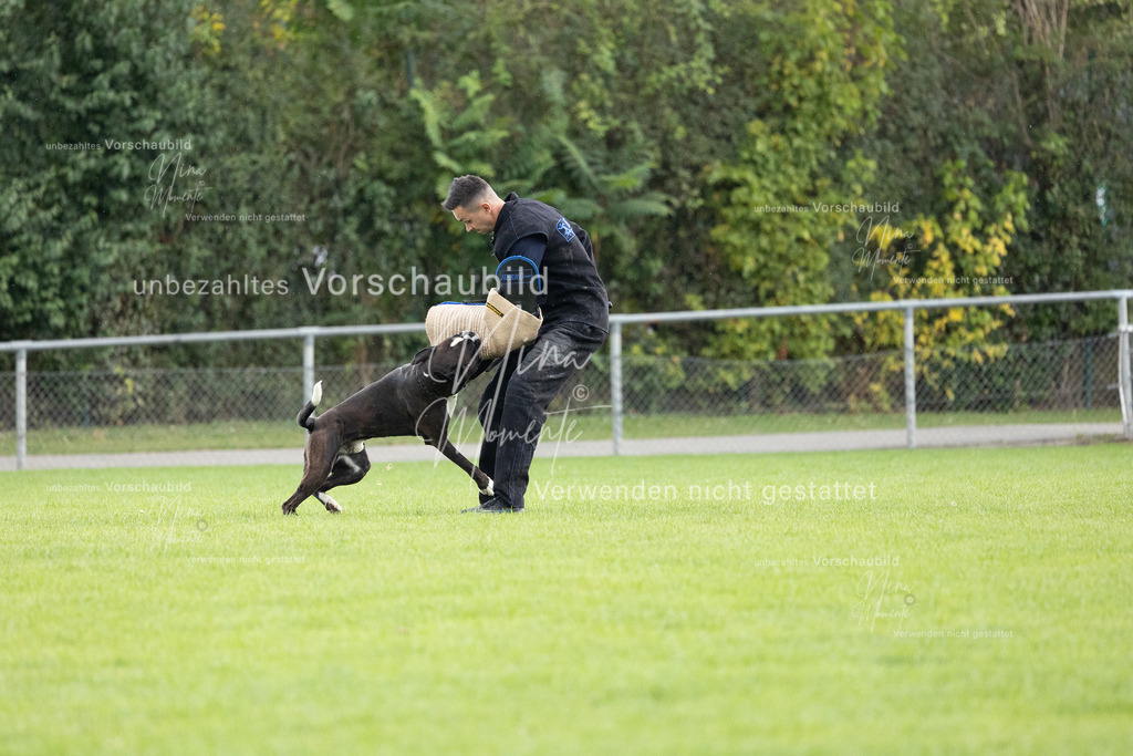 _16A7133 | Einzigartige Fotos von Hunden & Menschen –Actionfotos, Portraits, Vereinsaufnahmen & Paarshootings – authentisch, lebendig & mit Herz.