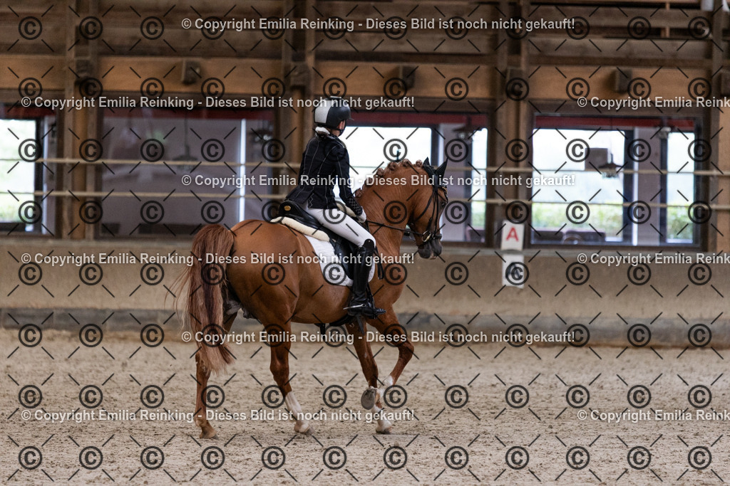 CL5A5274 | Emilia Reinking Fotografie - Realisiert mit Pictrs.com