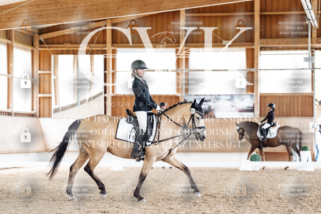 CK901511 | Turnierfotografie Pferdefotografie Trier Rheinland-Pfalz Pferdesport Reitsport Tierfotografie Sportfotografie Pferdevideo Pferdevideografie Equestrianvideography equestrianphotography  - Realisiert mit Pictrs.com