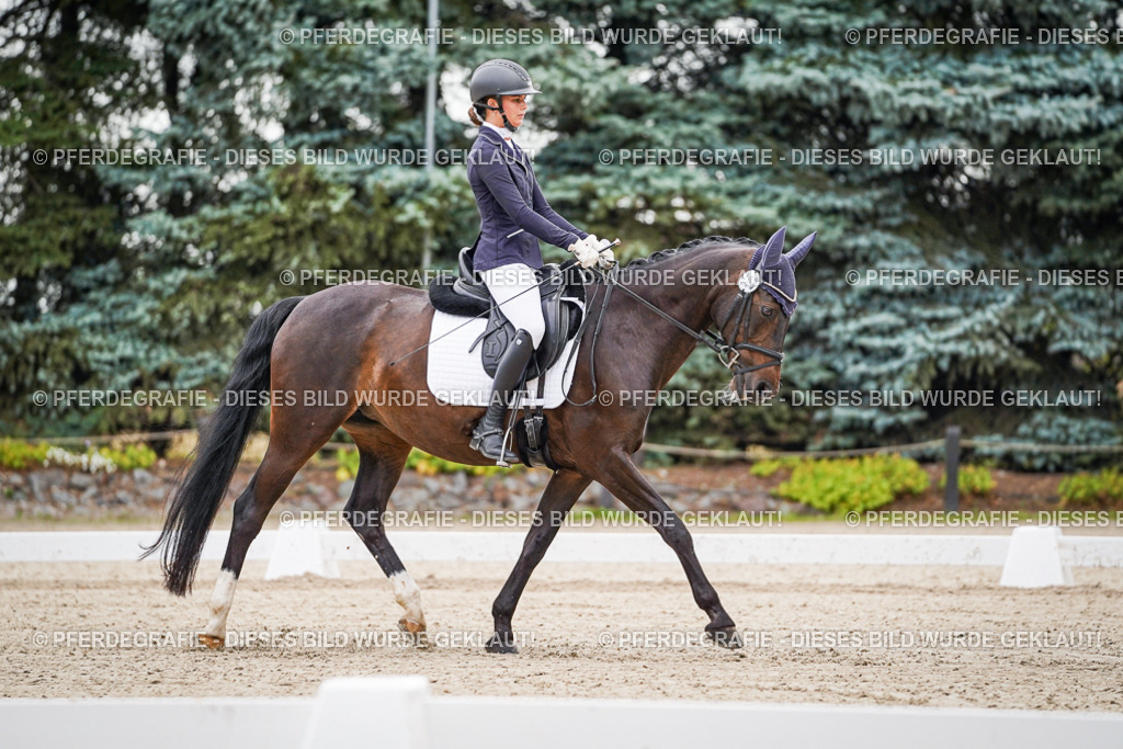 DSC01169 | Pferdegrafie