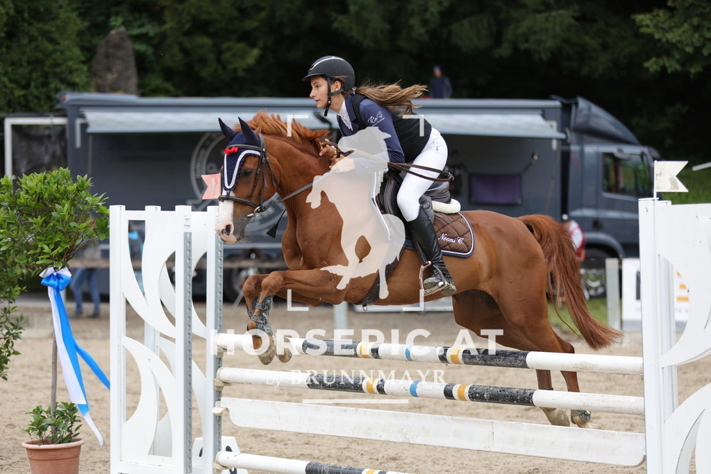0P6A2296 | Willkommen bei Brunnmayr - Design & Fotografie – Ihrem Spezialisten für Reitturniere und Pferdeveranstaltungen in Oberösterreich, Salzburg und Bayern! Seit über 17 Jahren sind wir leidenschaftlich dabei.