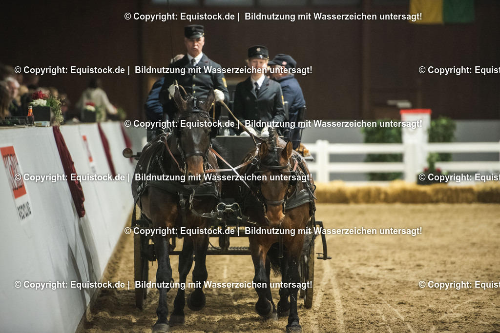 20240302_Hengstvorstellung_Marbach_TOMsPiC_0766 | equistock