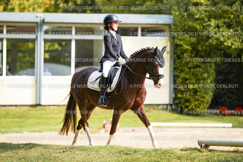 DSC05149 | Pferdegrafie