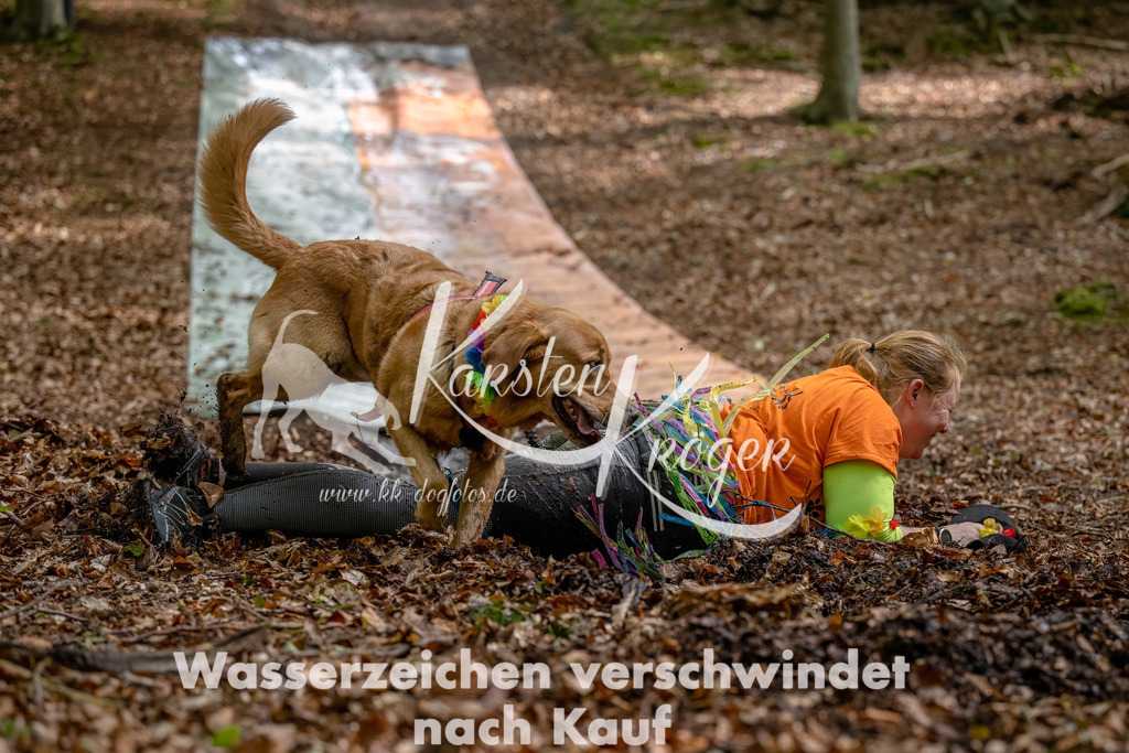 1134_ZZ91247-Bearbeitet | kk-dogfotos