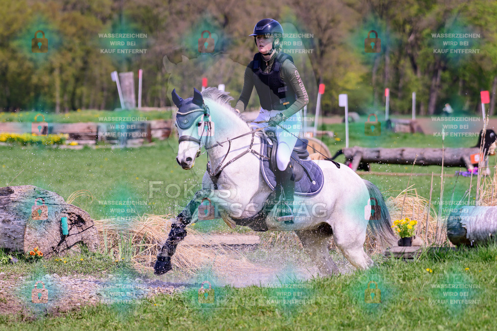 18042026-Gernlinden-01-1-0316 | Fokus Hufschlag Fotografie - Realisiert mit Pictrs.com
