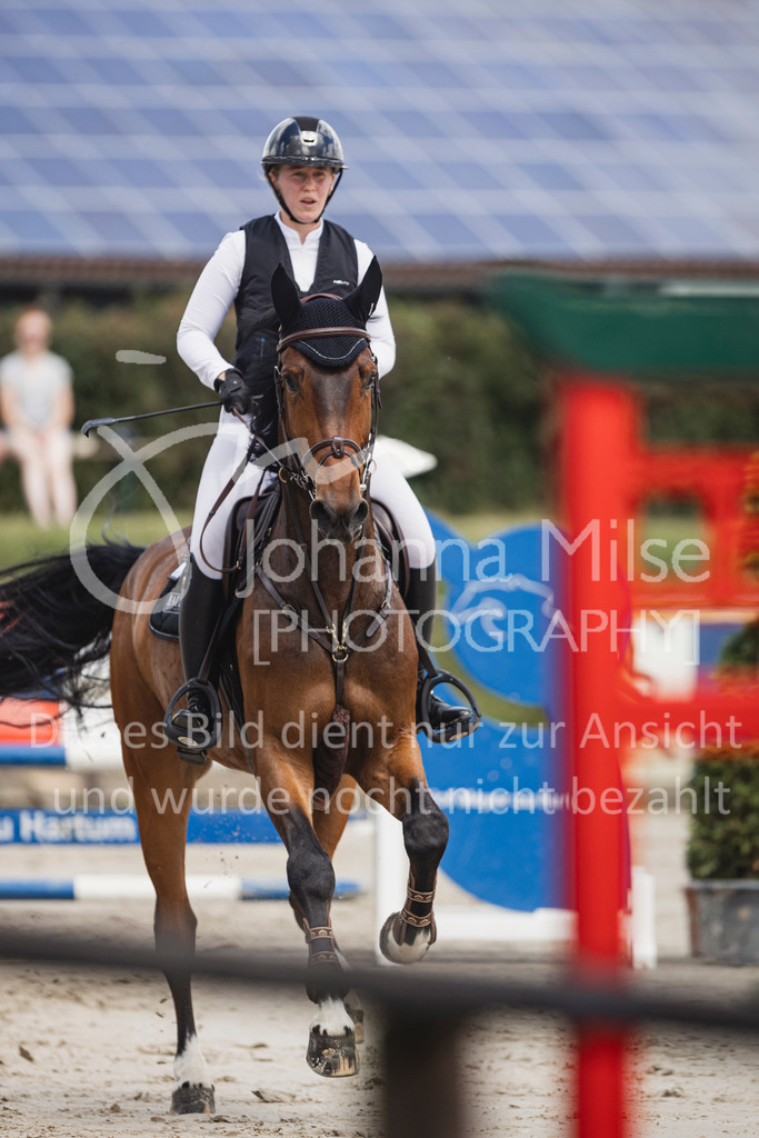 250629_PfSpTa_L-Spr2-421 | Deine schönsten Turniermomente als professionelle Fotos! Entdecke hochwertige Pferdesport-Fotografie im Online-Shop. Jetzt Fotos finden & bestellen!