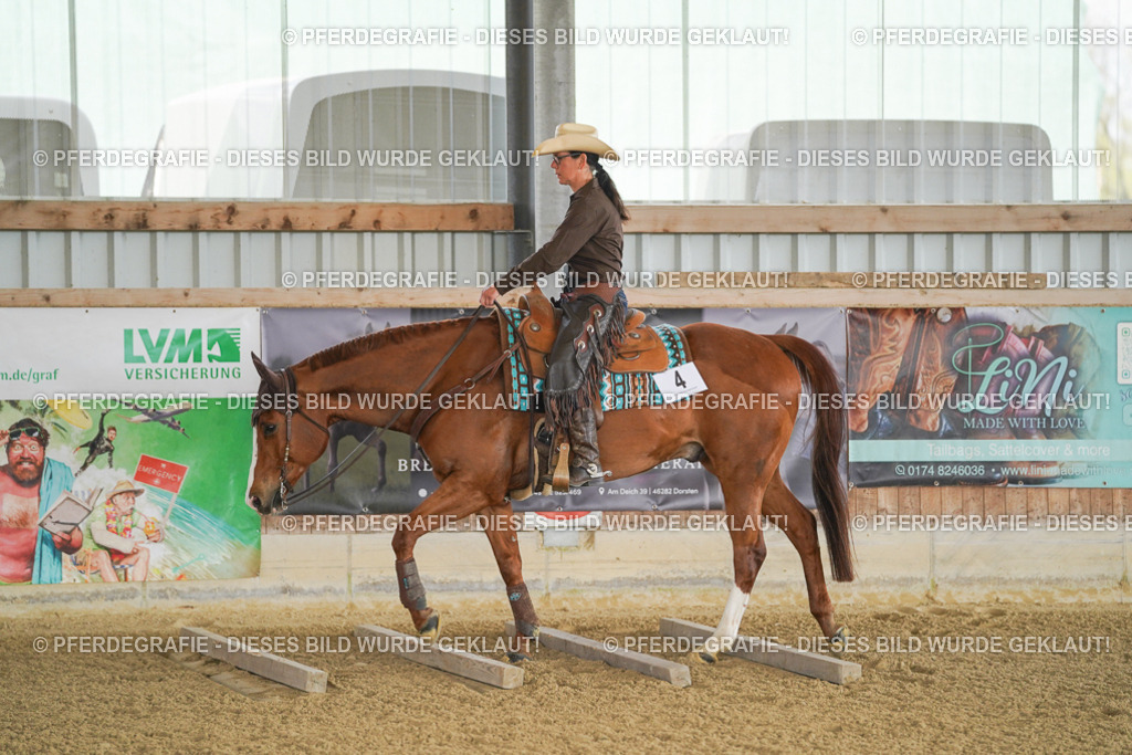 DSC02611 | Pferdegrafie