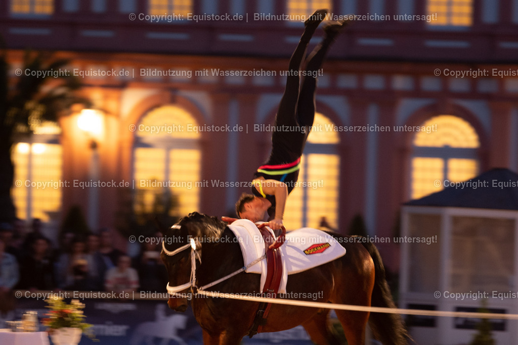 20230527_Voltigieren_NASPA_Flutlicht_0651 | equistock