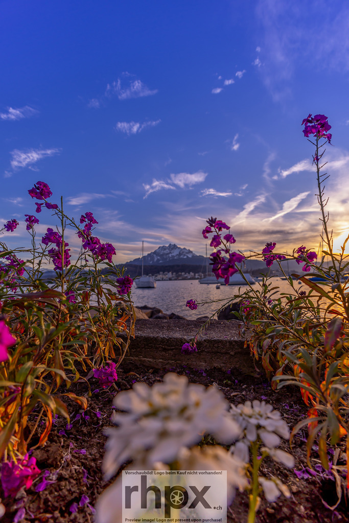 _MG_0899 | Stimmungsvolle Fotokunst aus Luzern. Erlebe den Pilatus, den See und die Stadt Luzern in exklusiven Aufnahmen in der Fotogalerie & Shop. - Realisiert mit Pictrs.com