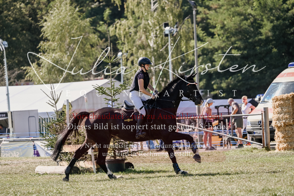 DSC_2892 | Pferde- und Turnierfotografie in Westsachsen. Pferdeportraits, Auftragszeichnungen und intuitive Kunst.