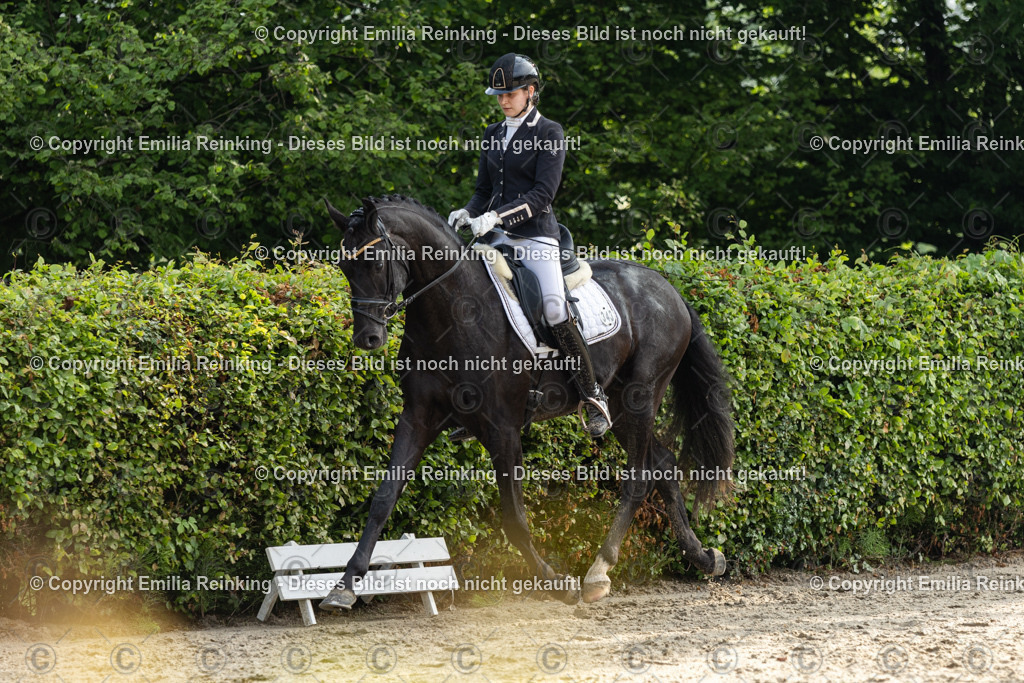 CL5A3730 | Emilia Reinking Fotografie - Realisiert mit Pictrs.com