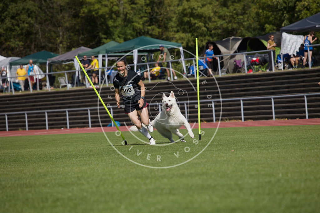 0L8A7200 | Hundefotografie, Tierfotograf, Pfotenfotografie, Fotoshooting Hund, Hunde Portrait, Hundesport, Hundeportraits, Heideshooting, Hunde, Sportfotograf, Hundefotograf, Turnierhundsport, THS,  - Realisiert mit Pictrs.com