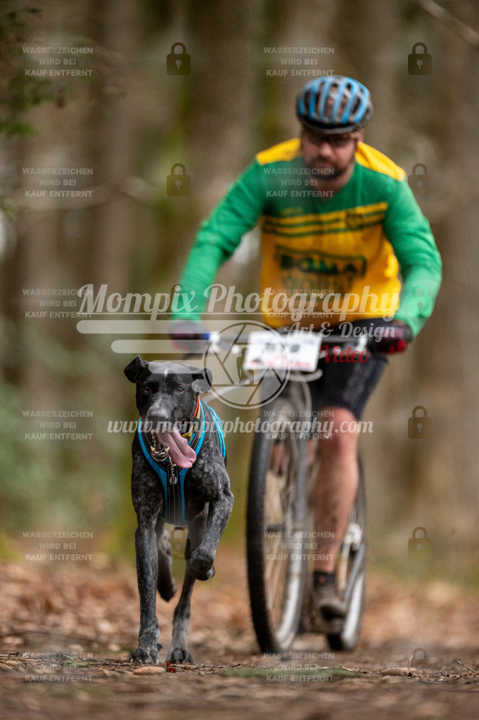 SPA_2023_DIM_Scooter-49 | PayLife