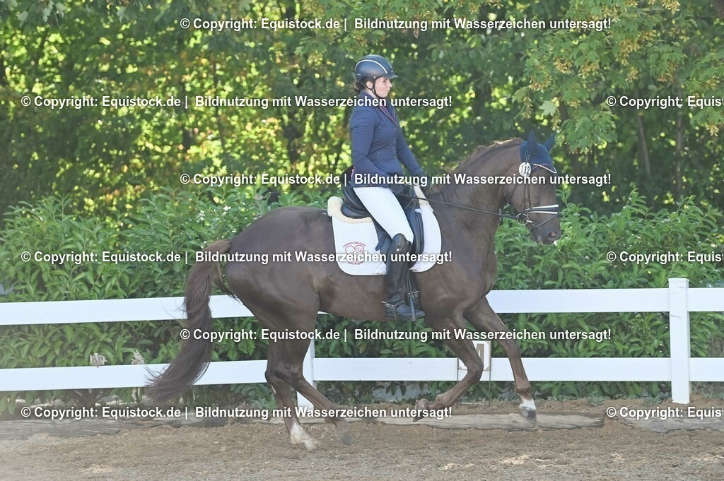 20230715_06_Dressurpferdeprfg. Kl.A_0148 | equistock