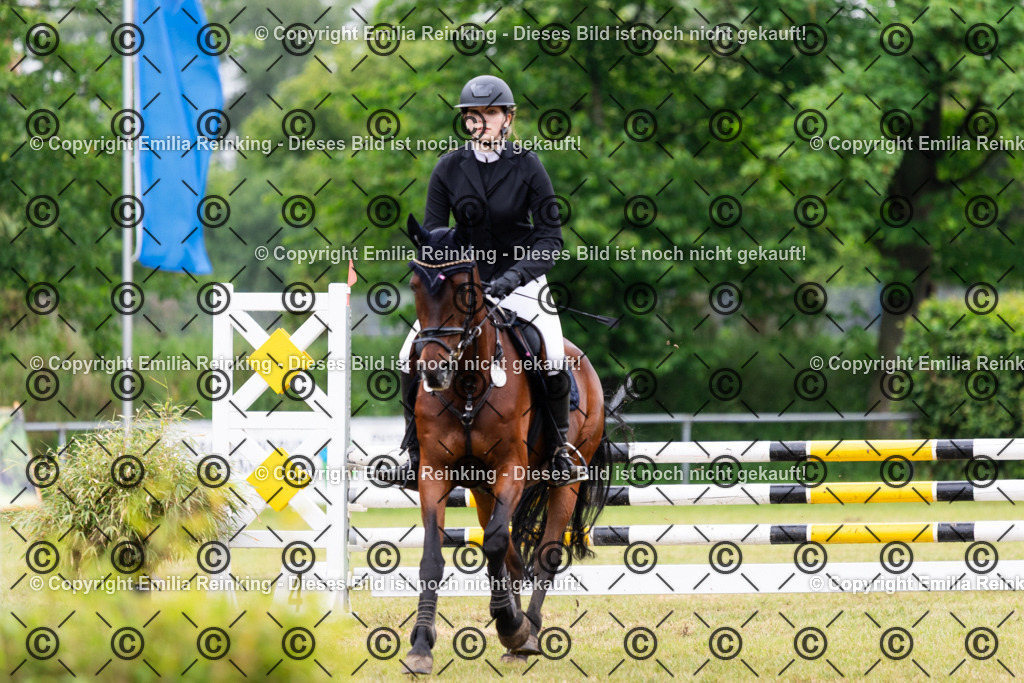 CL5A8700 | Emilia Reinking Fotografie - Realisiert mit Pictrs.com